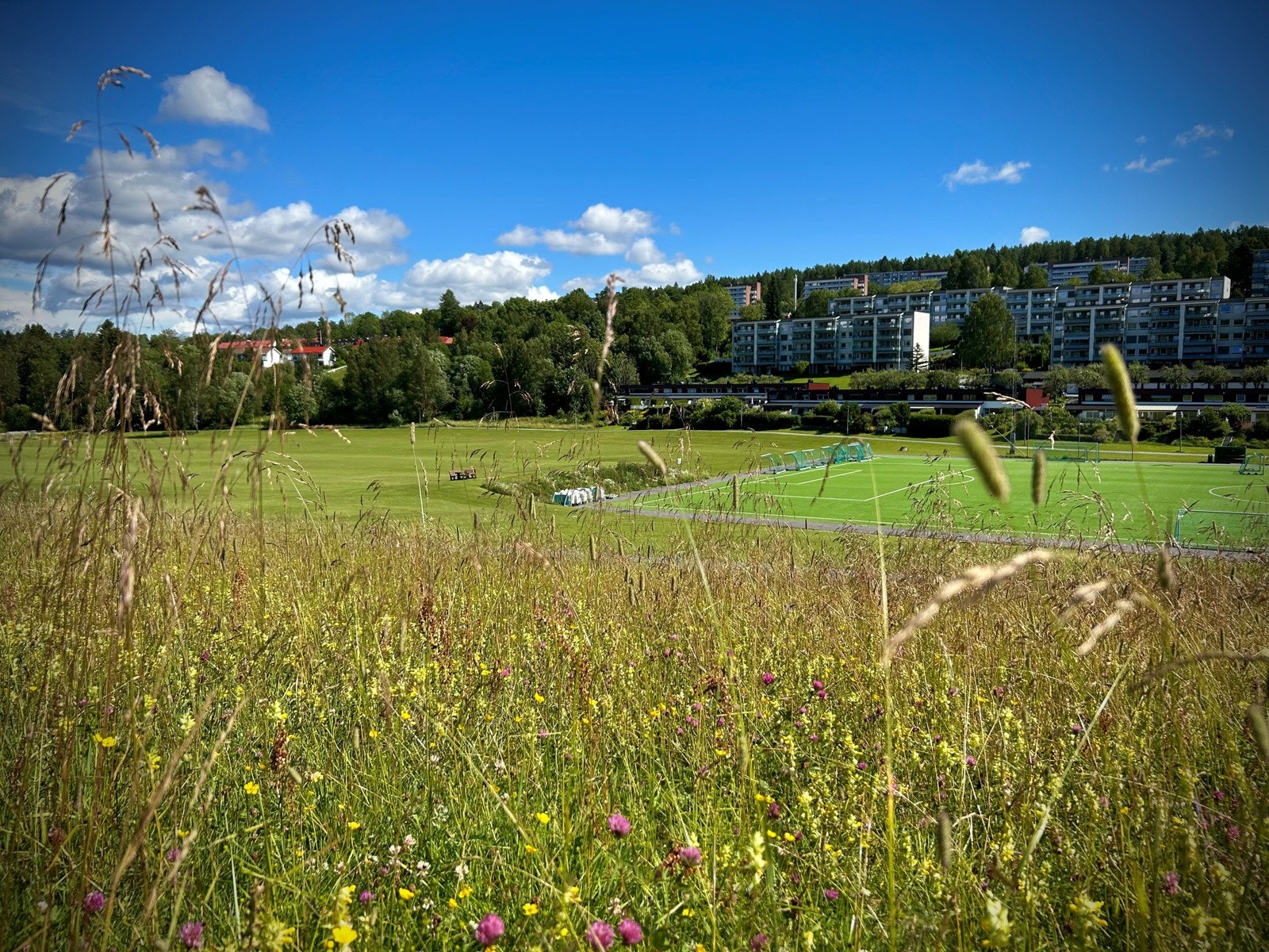 Til høyre tar turveien deg til Østensjøvannet, til venstre Østmarka nasjonalpark. Galleribilde