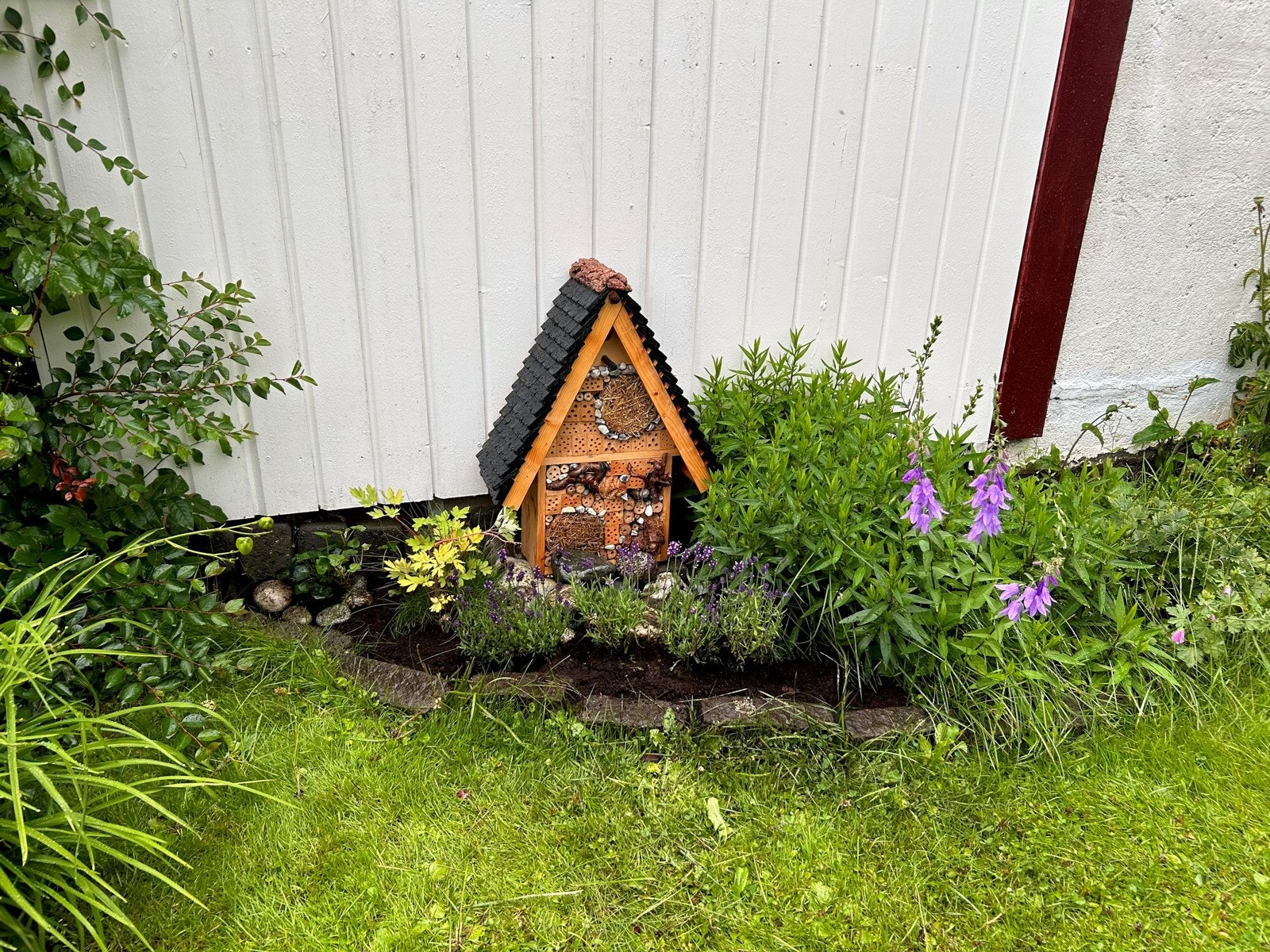 Frodig hage. Galleribilde