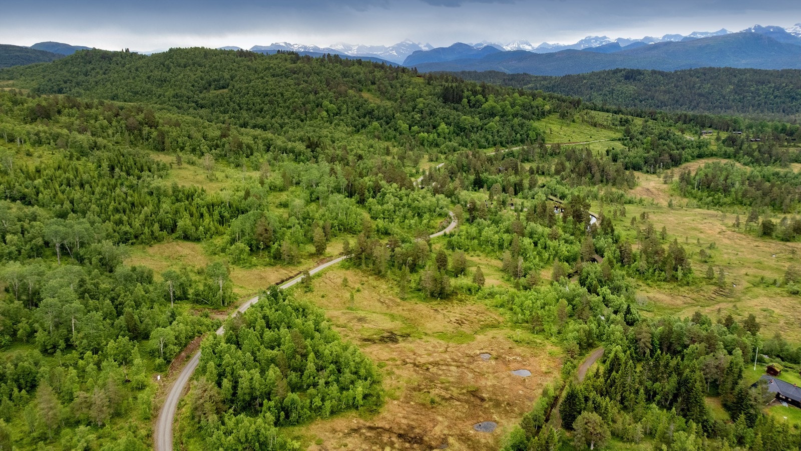 Områdebilde Galleribilde