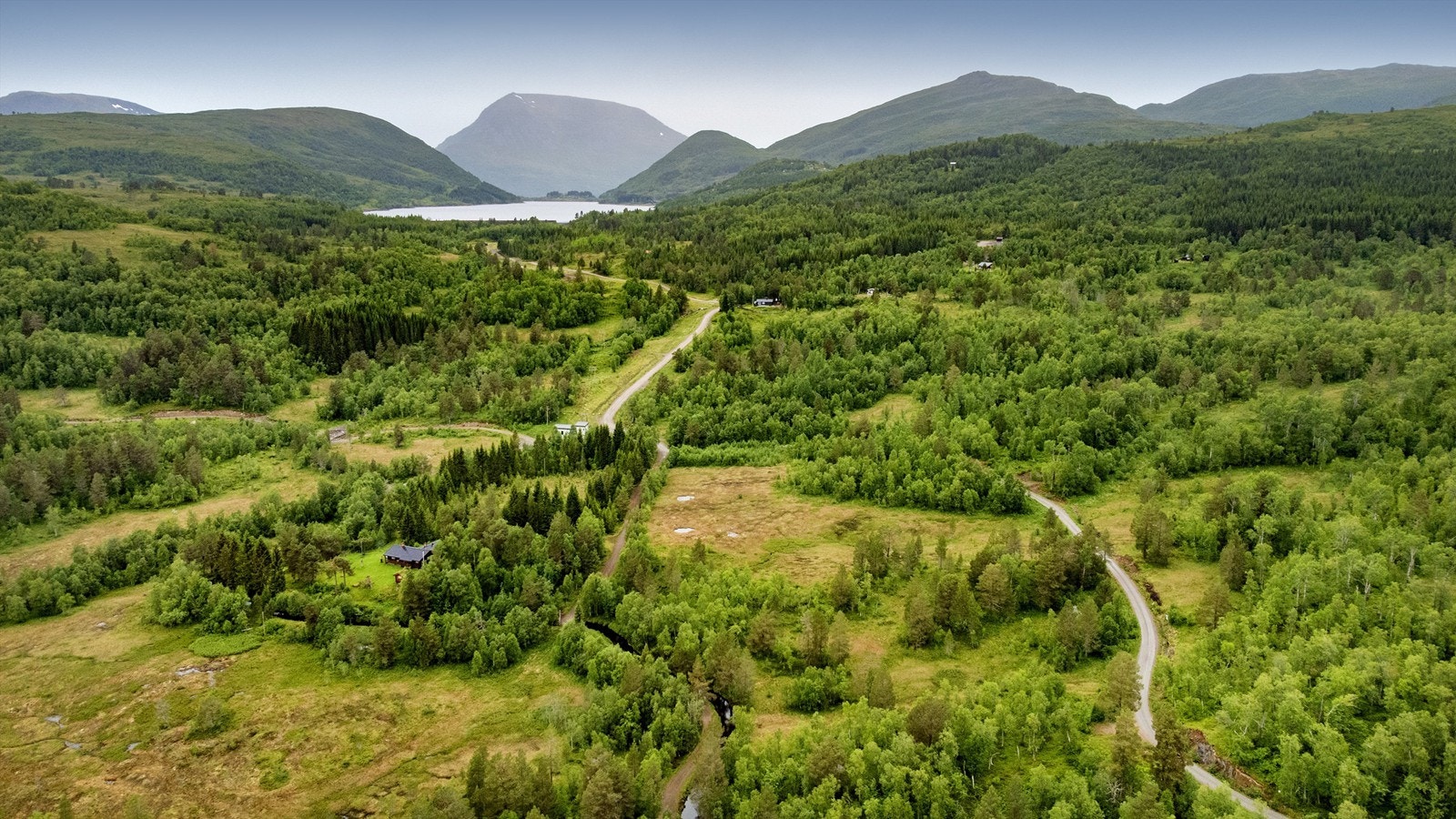 Områdebilde Galleribilde