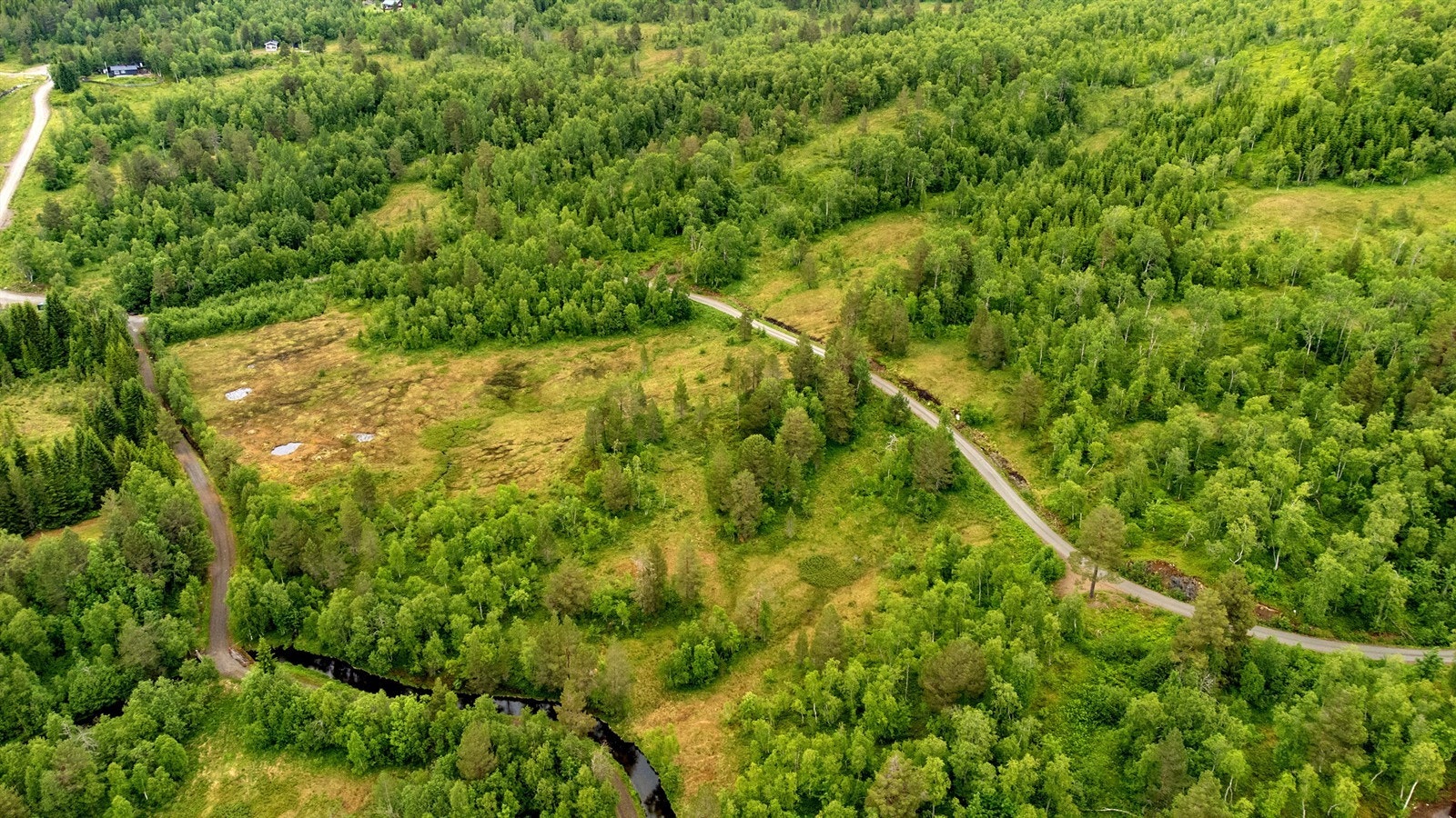 Områdebilde Galleribilde