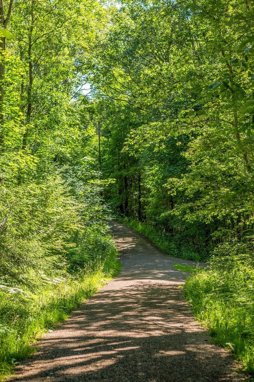 Rundt sørsiden av Lambertseter gårr det lokal lysløypetursti på ca. 2 km. Galleribilde