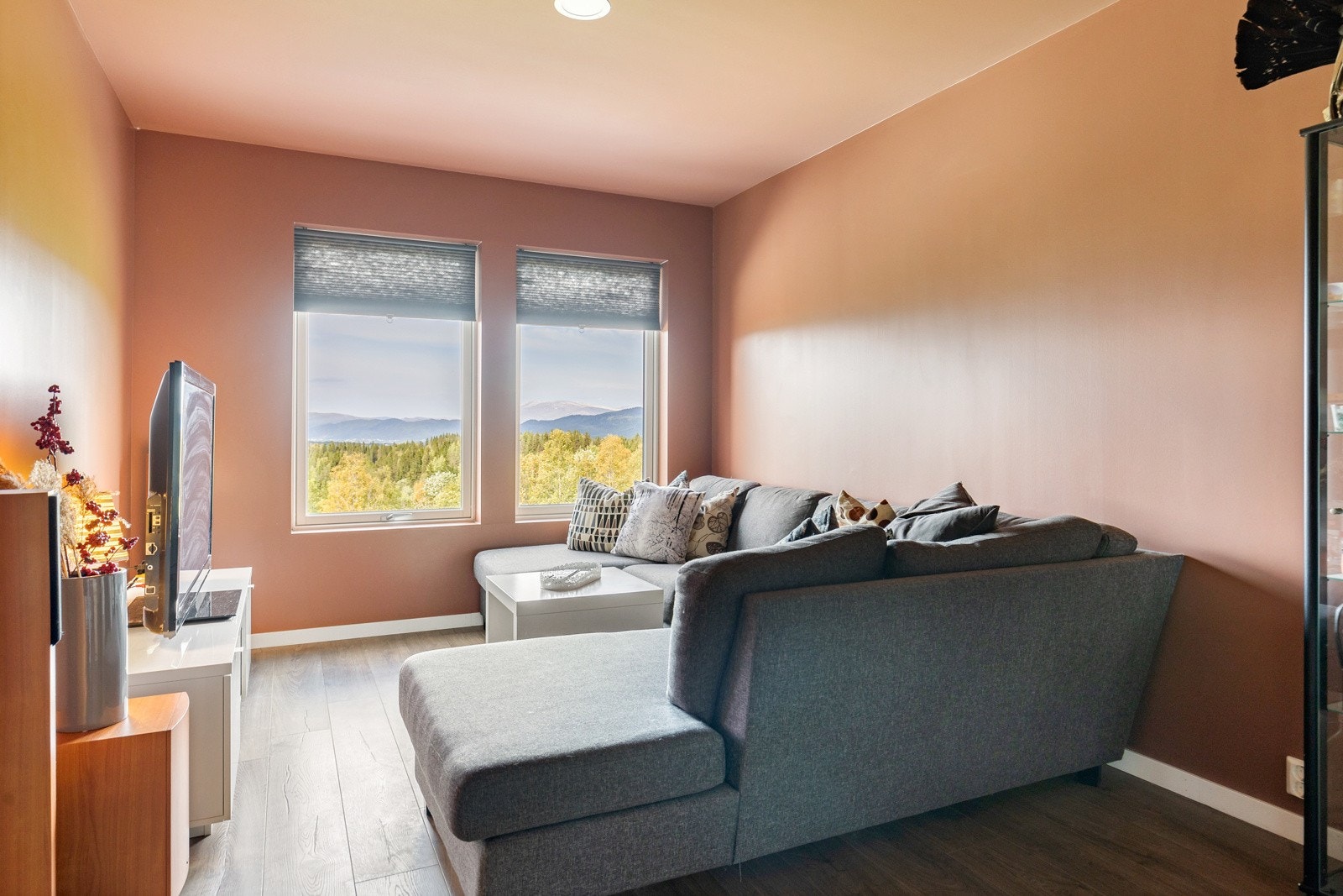 Koselig TV-stue med lune fargetoner og plass til komfortable møbler ? perfekt for avslappende kvelder med familie og venner. Galleribilde