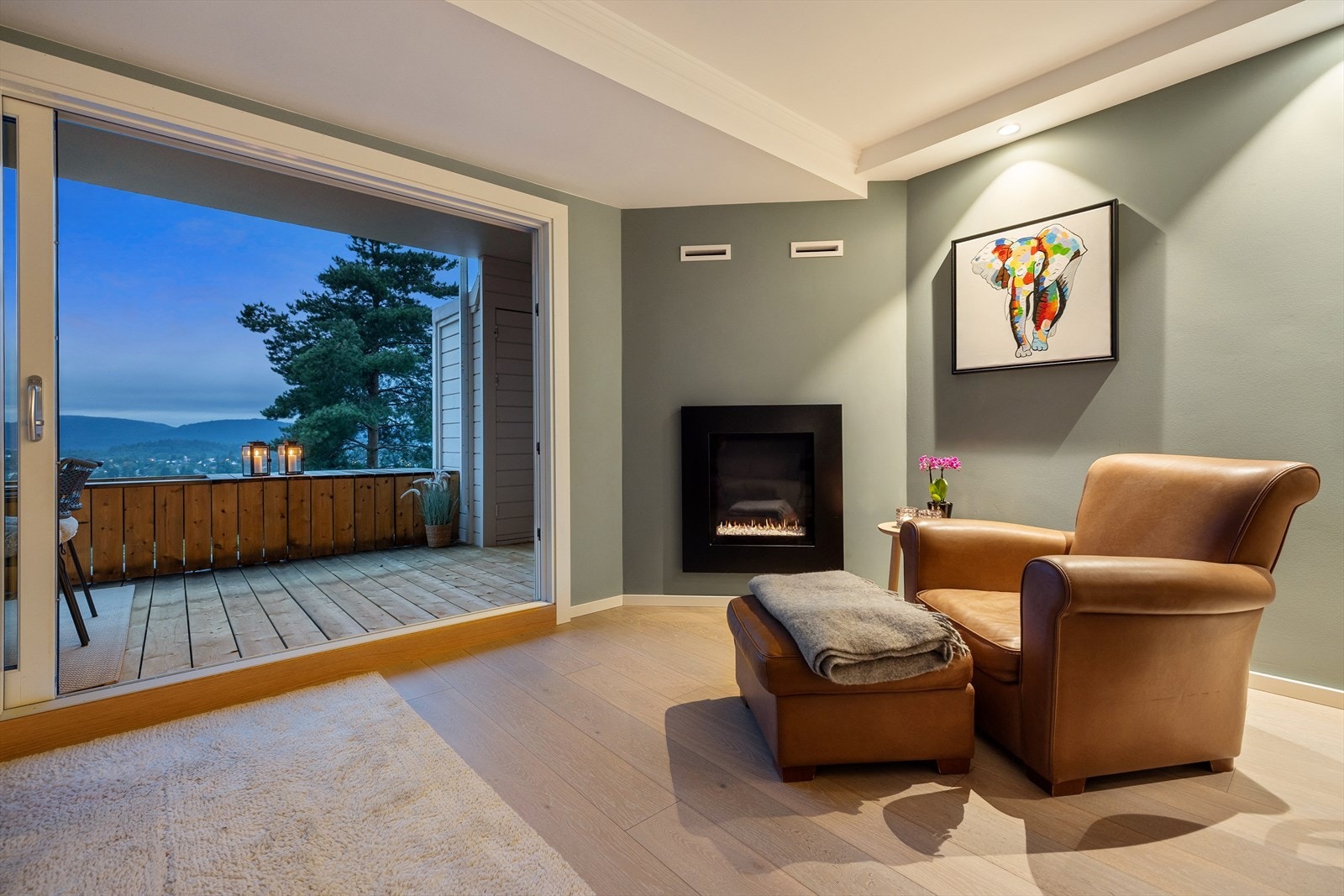 Hyggelig gasspeis i hjørnet av stuen Galleribilde