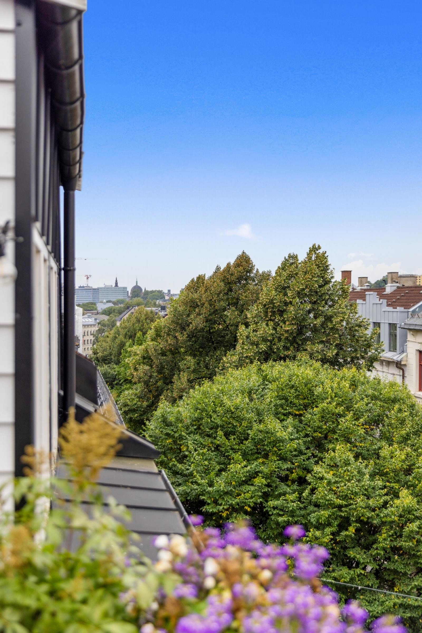 Utsikt fra takterrassen Galleribilde