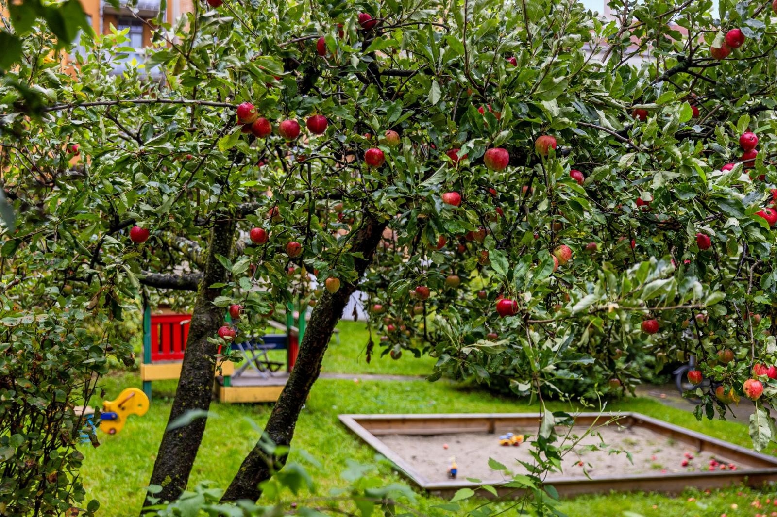 Bakgård. Galleribilde