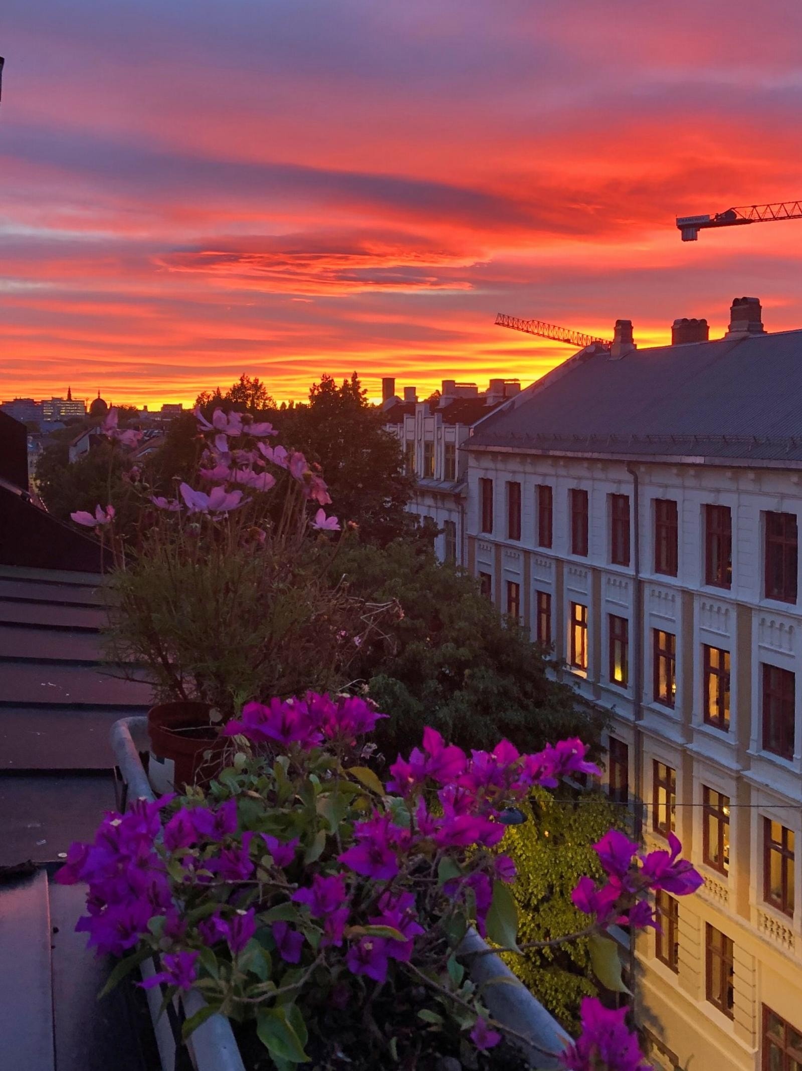 Selgers eget bilde av utsikt på kveldtid. Galleribilde