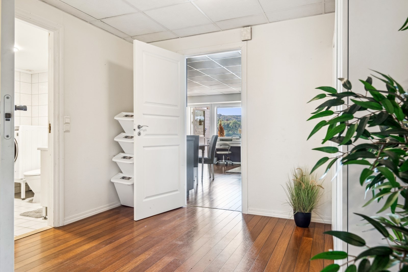 Entré/gang Galleribilde