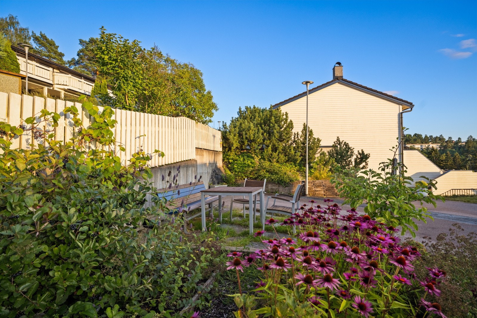Hyggelige fellesområder Galleribilde