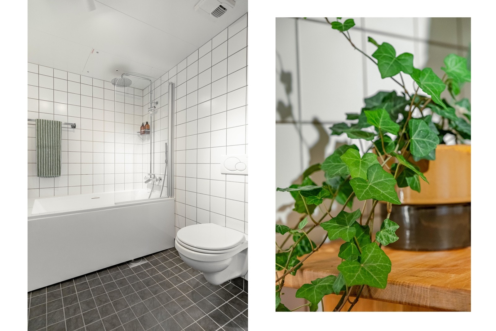 I serien "Grønne planter som skal få deg til å hyle av fryd" smeller vi til med denne sterke kandidaten. Galleribilde