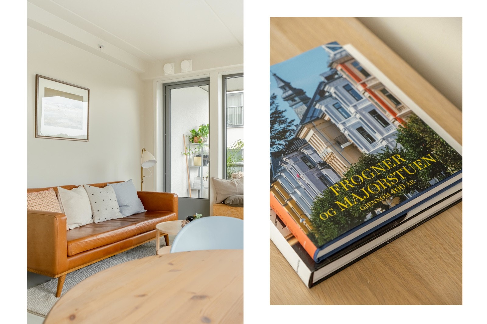 Og om det er tåke kan se mye av de samme bildene i denne boka. Galleribilde