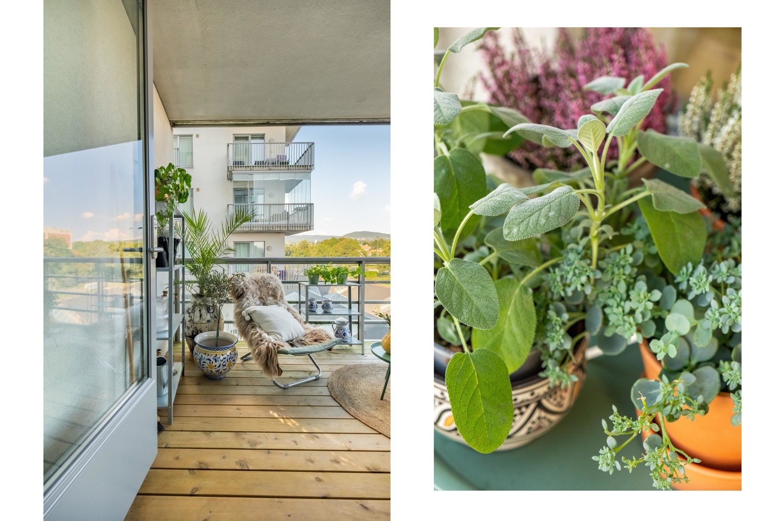 Sees vi? Galleribilde