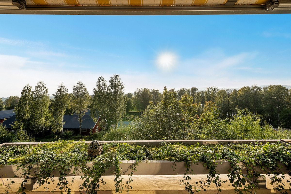 Her kan du nyte solen store deler av dagen! Galleribilde