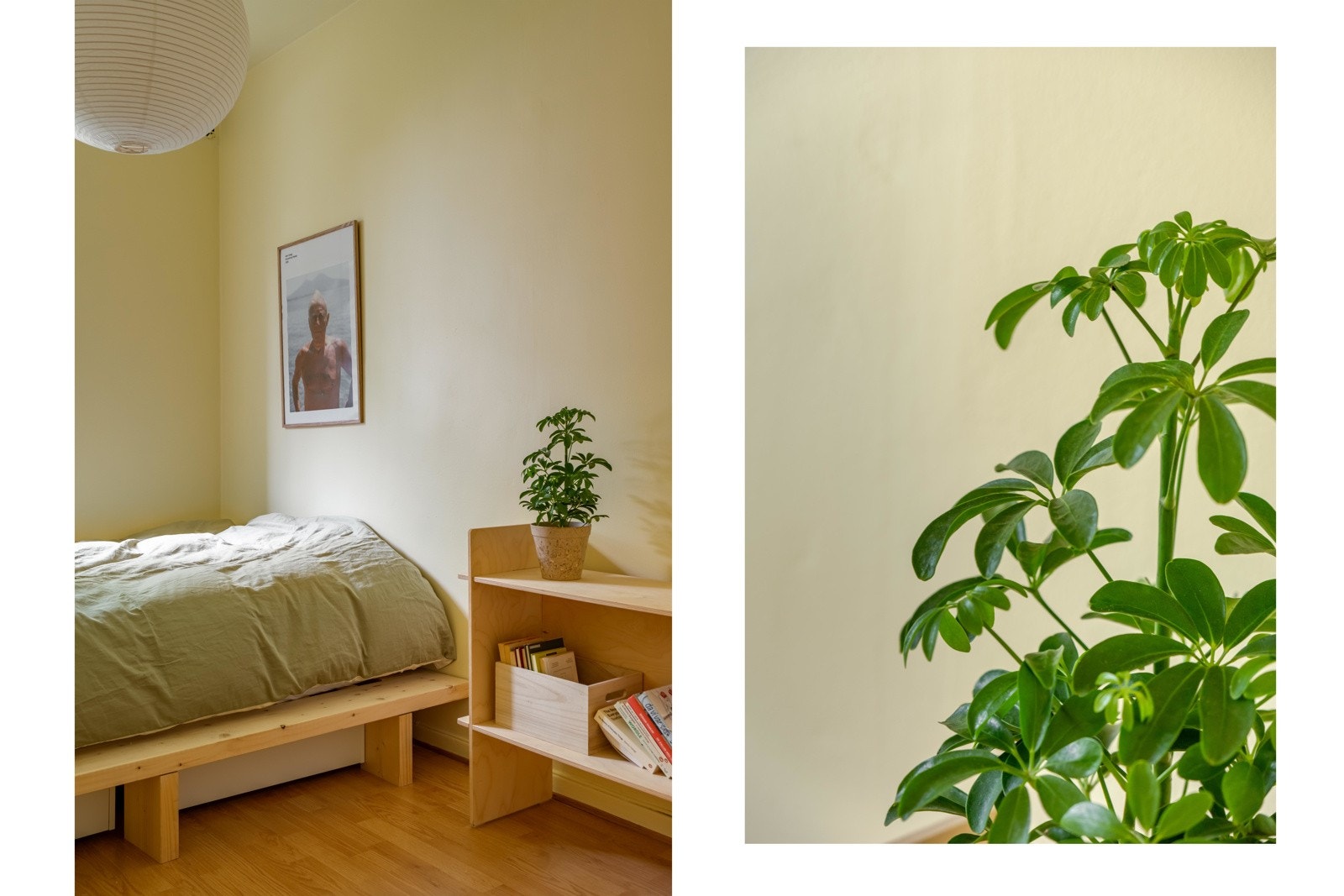 Sengen er plassbygd i solid materiale, og med plass til oppbevaring under. Galleribilde