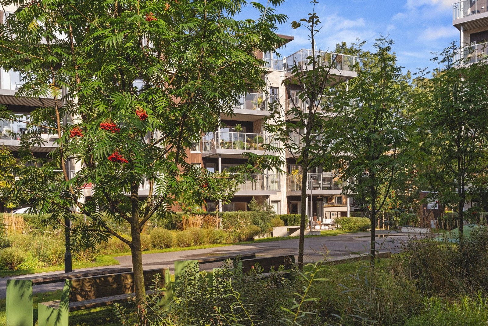 Fellesområdene er grønne og trivelig, med flere lekeplasser og ballbaner i kort gangavstand. Galleribilde