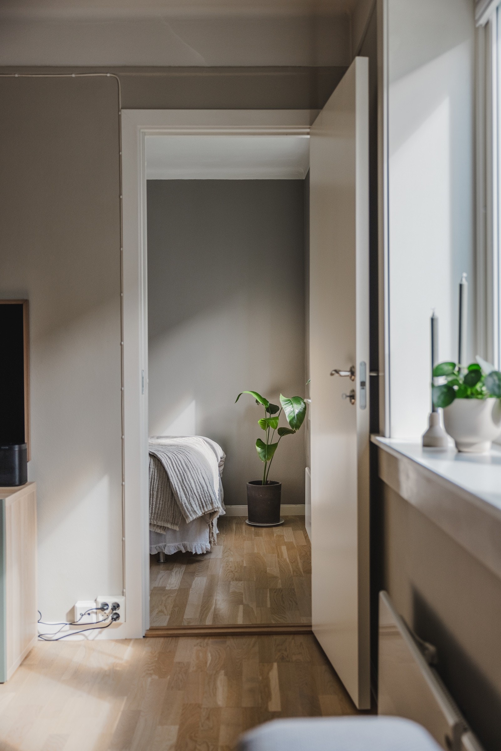 Legg også merke til hvor fint lys som kommer inn i leiligheten gjennom de store vindusflatene. Galleribilde