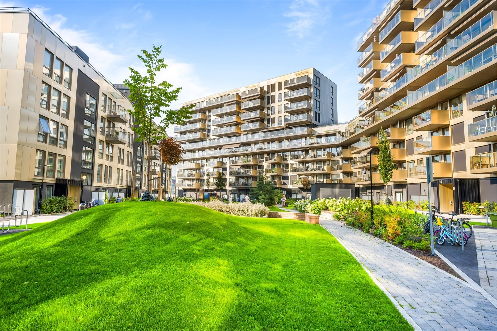 Skjermet bakgård med plen, beplantning, sykkelparkering og sittegrupper Galleribilde
