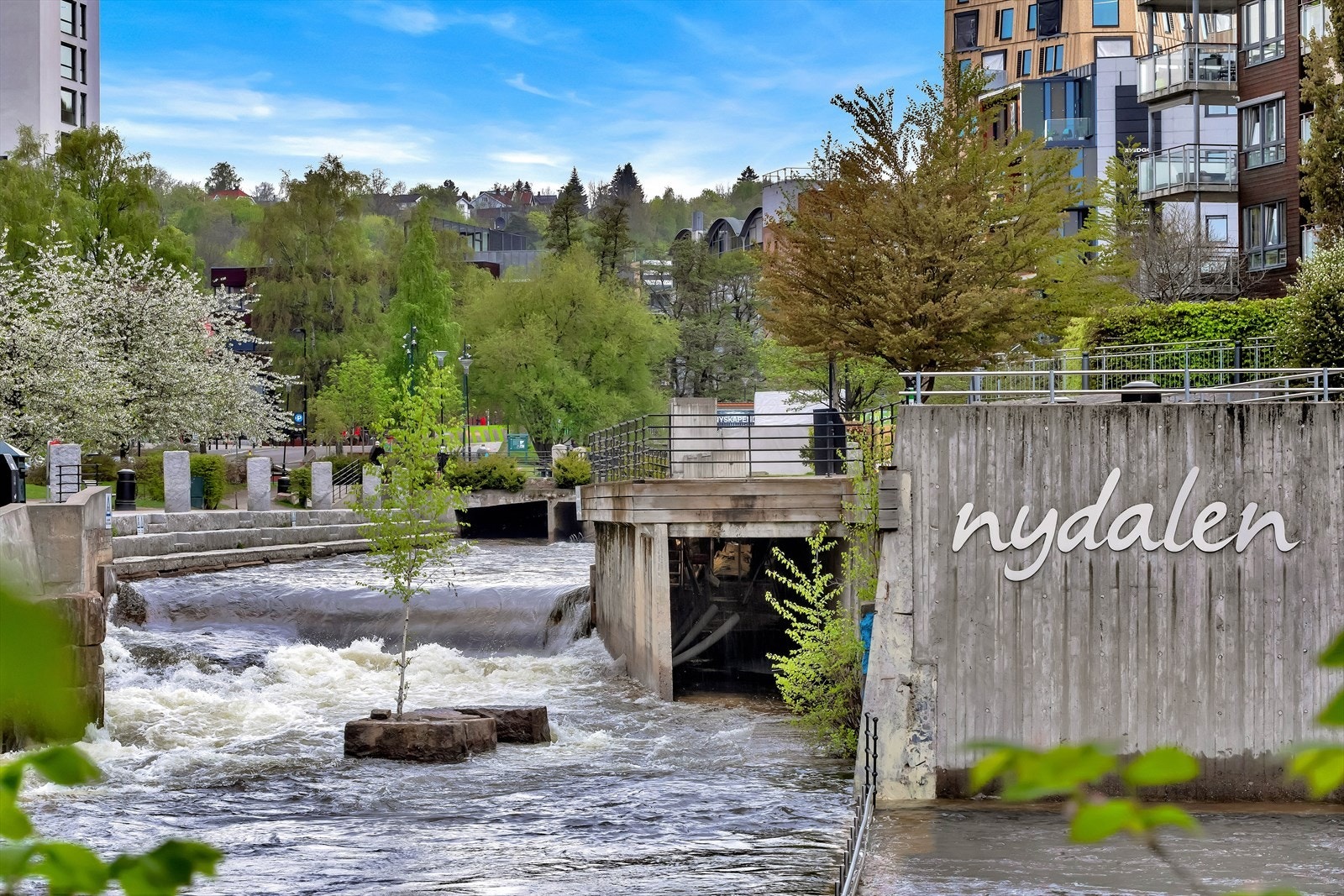 Områdebilde Galleribilde