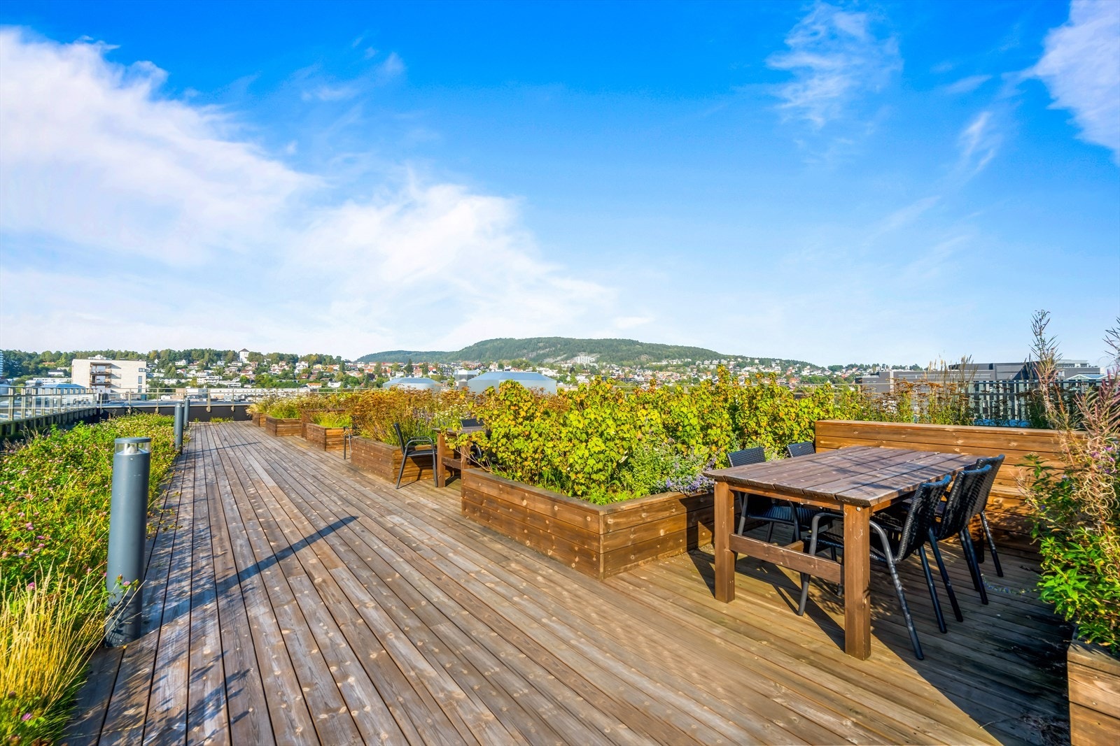 Felles, solrik takterrasse med flere sittegrupper og beplantning Galleribilde