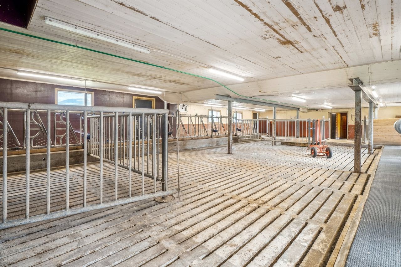 Fjøs Galleribilde