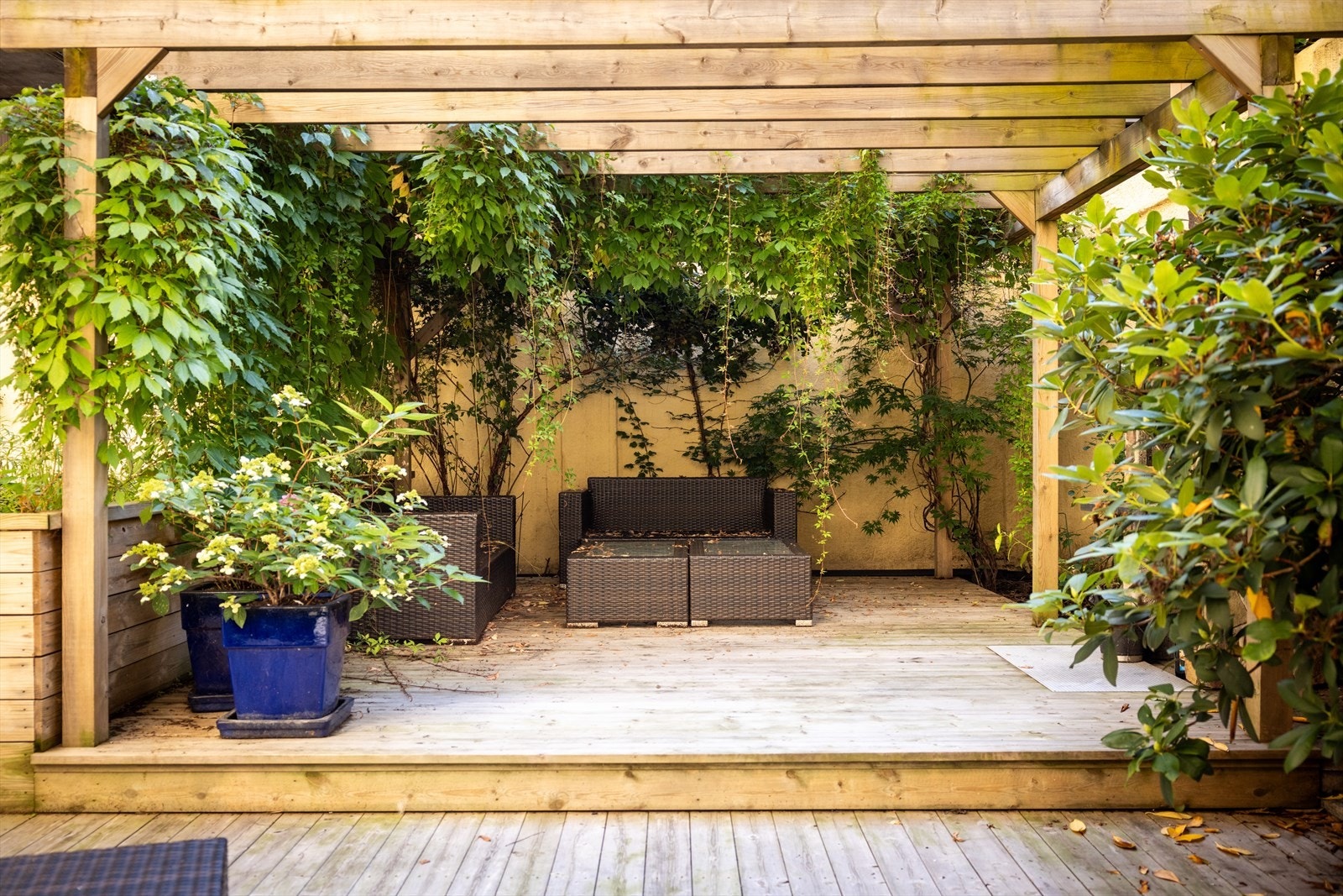 Idyllisk og solrik bakgård med en sjarmerende pergola og romslig terrasse. Galleribilde