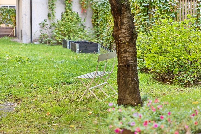 Hyggelig, felles bakgård med sittegrupper, beplantning og trær. Galleribilde