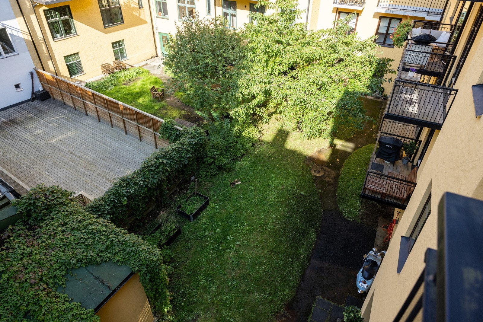 Aksjelaget har en grønn og trivelig bakgård. Galleribilde