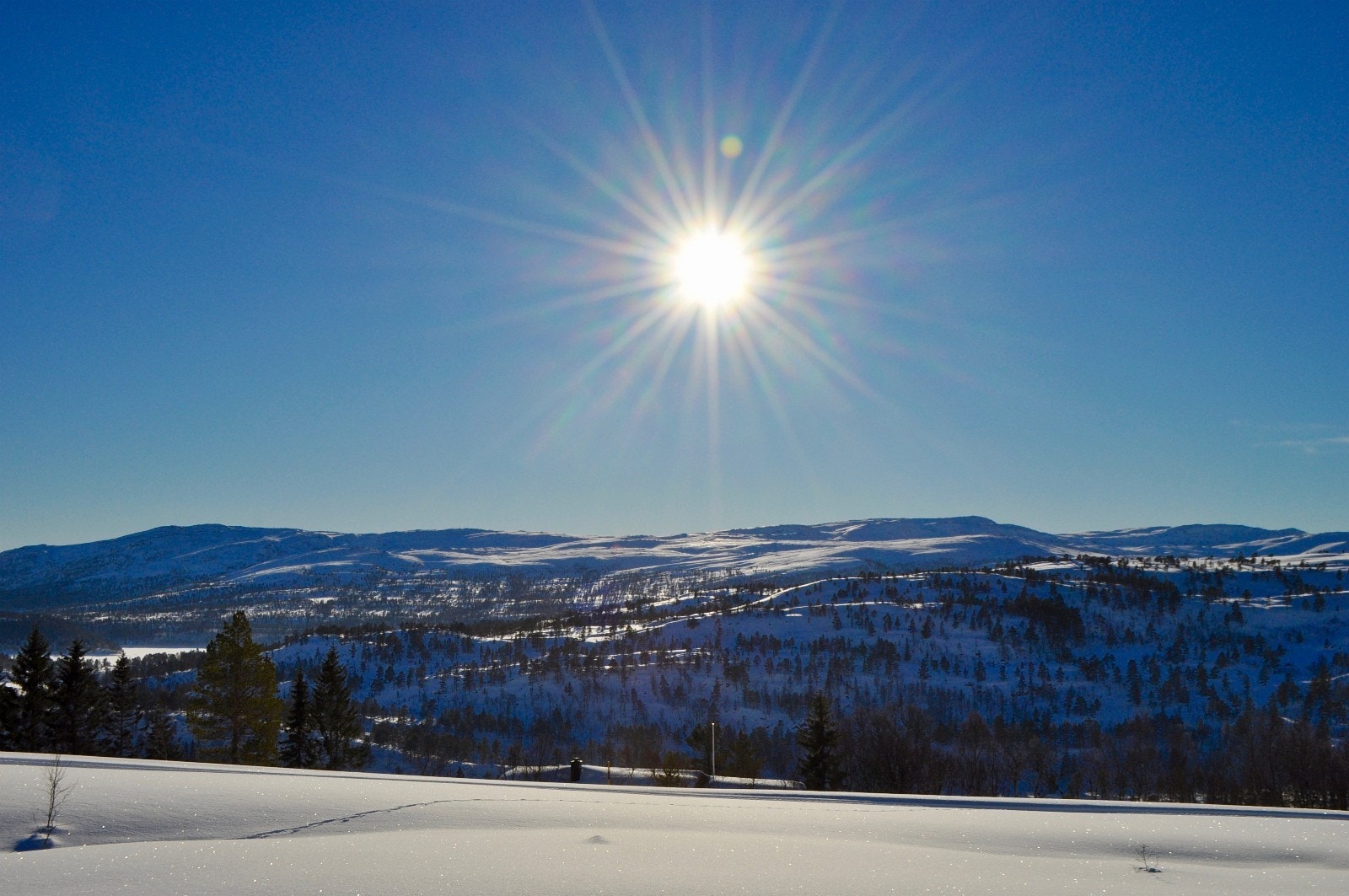 Velkommen til visning! Galleribilde