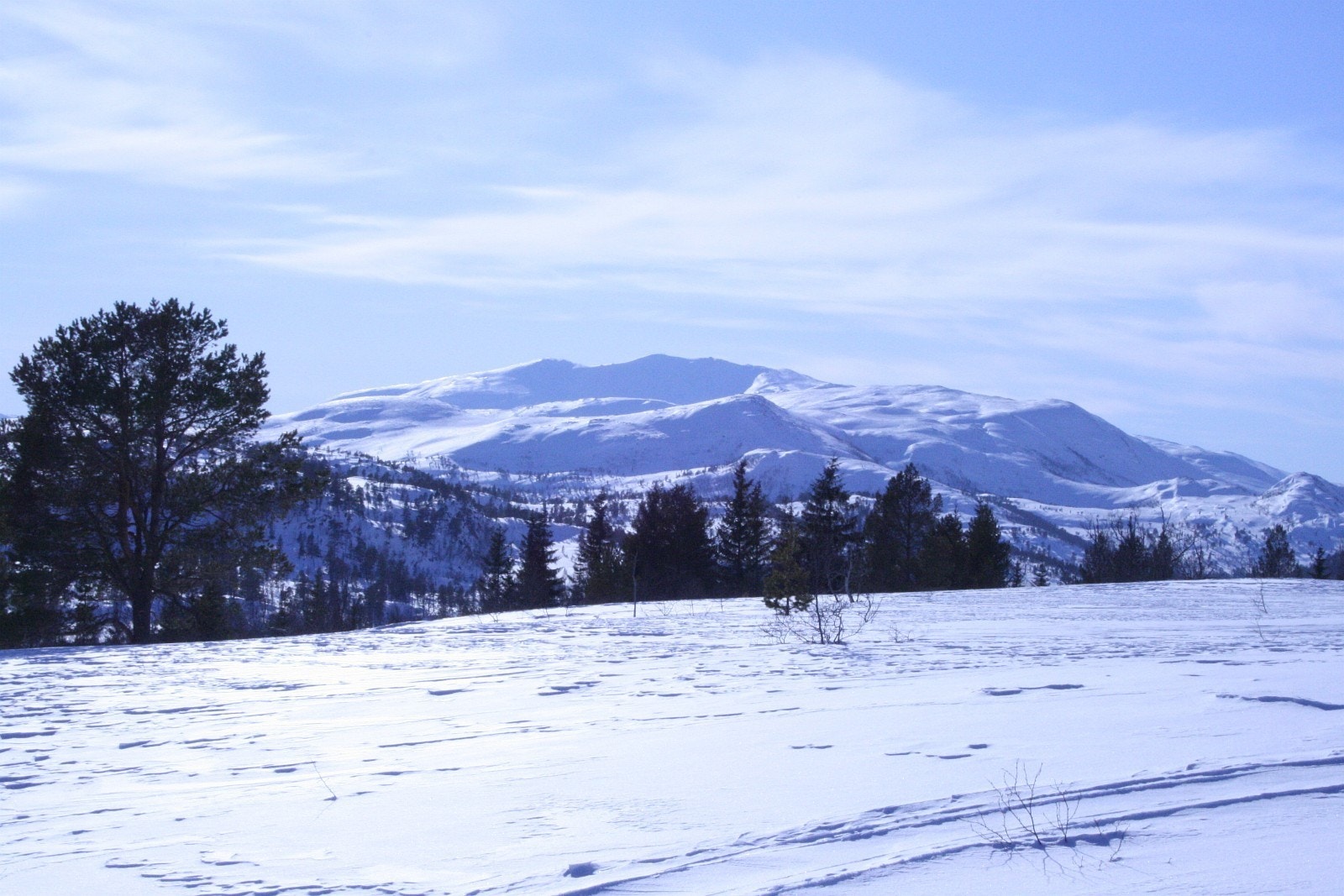 Skitur med Ruten i bakgrunnen. Foto: Grunneier Galleribilde
