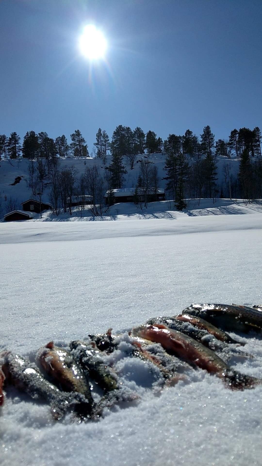 Isfiske. Foto: Grunneier Galleribilde