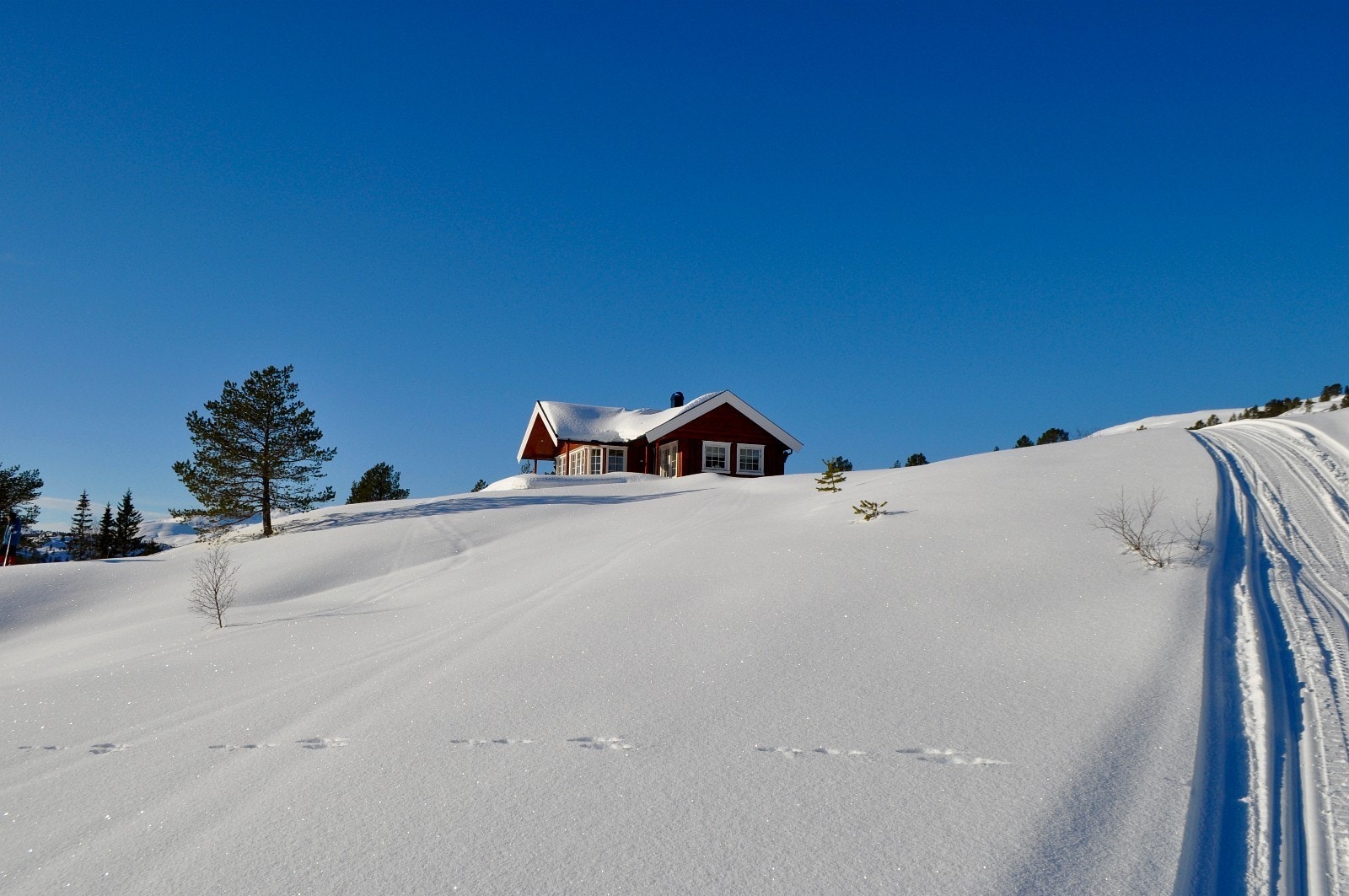 Tomtene i Slupphaugen hyttefelt kan bebygges med 180 kvm BYA (inkl. anneks og parkeringsareal) Galleribilde