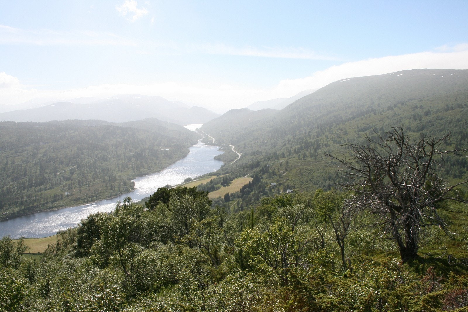 Her ser vi ned mot Søvatnet fra Knebba. Foto: Grunneier Galleribilde