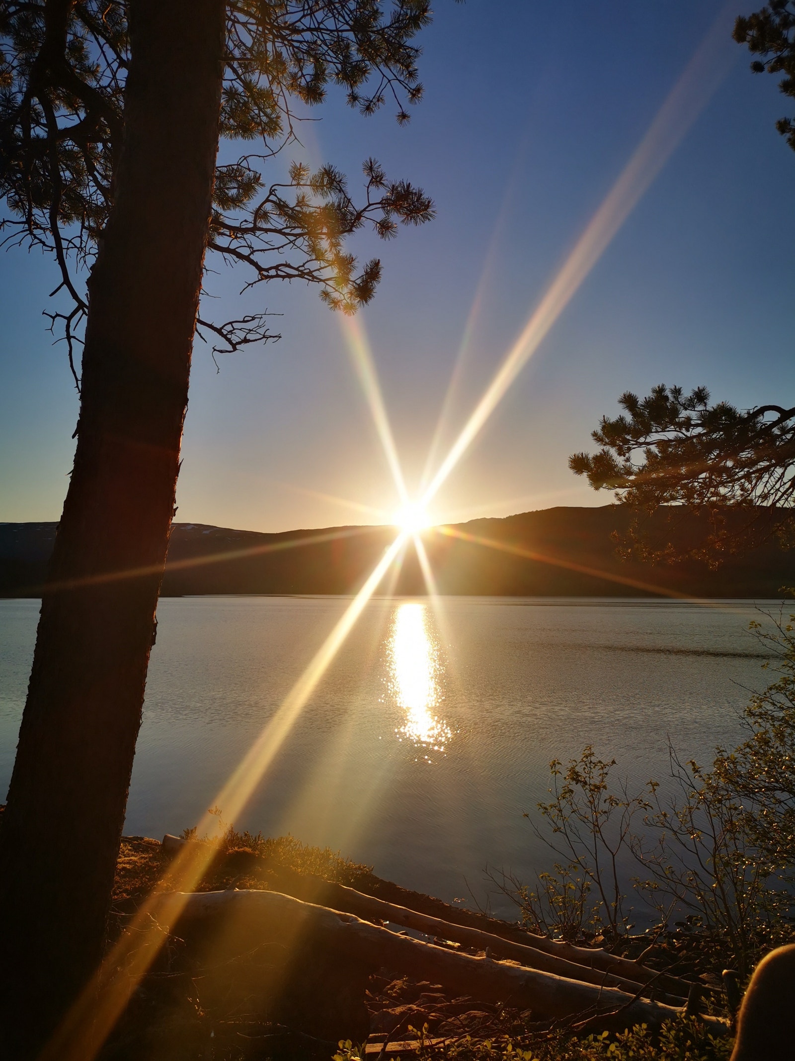 Indianerøya. Foto: Grunneier Galleribilde