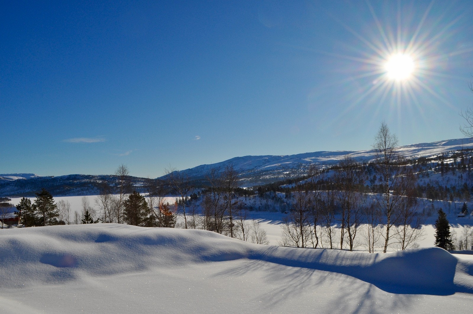 Tomtene er sørvendte med meget gode lysforhold og flott utsikt Galleribilde