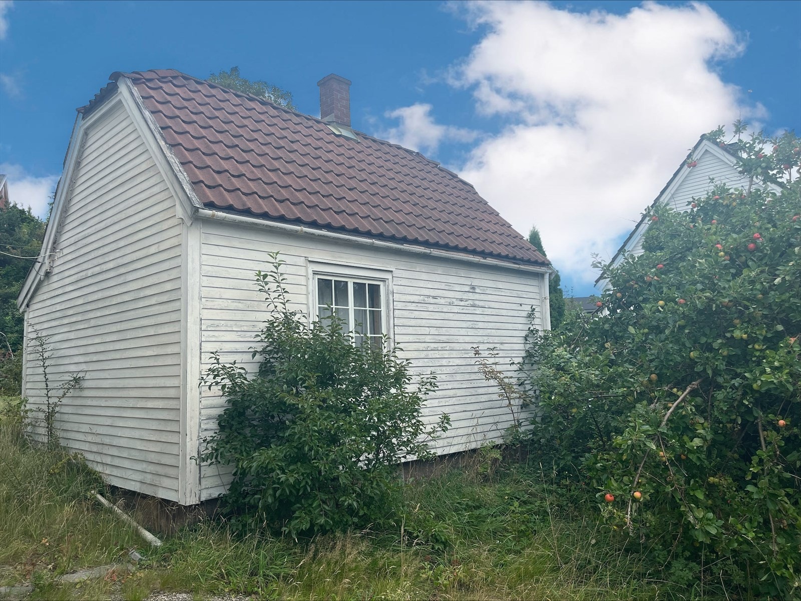 Privat bilde - Anneks Galleribilde