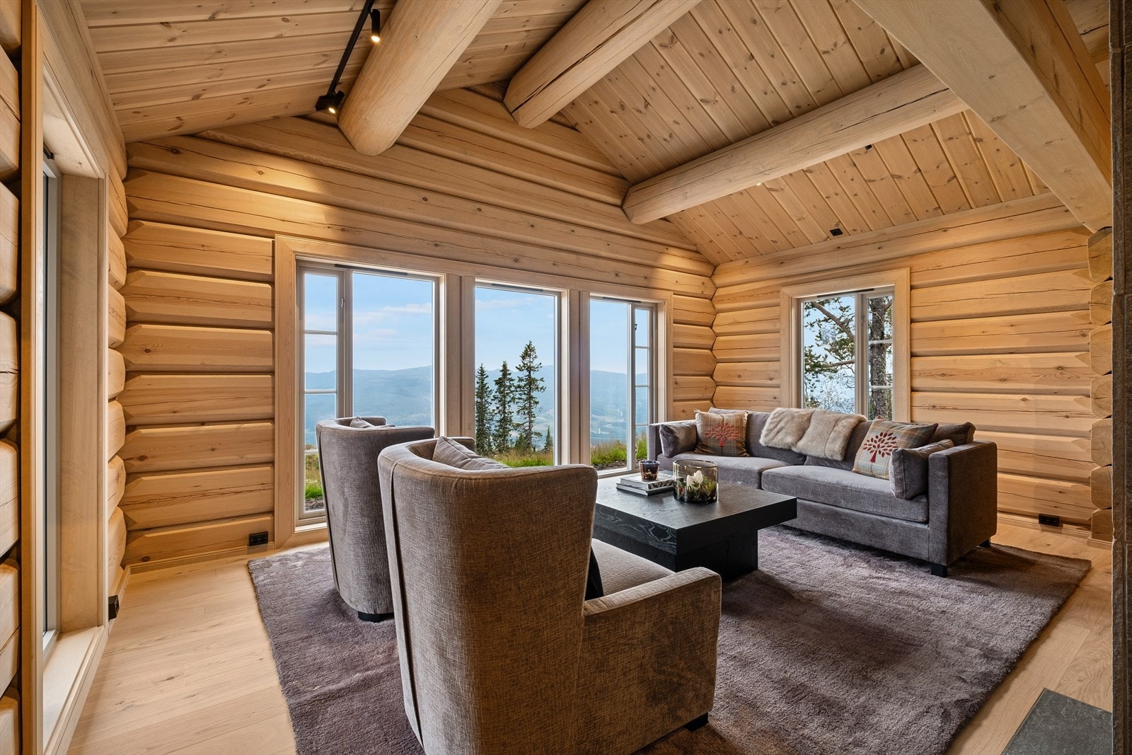 Stuene har store vindusflater som slipper inn godt med naturlig lys, og skaper en god atmosfære. Galleribilde