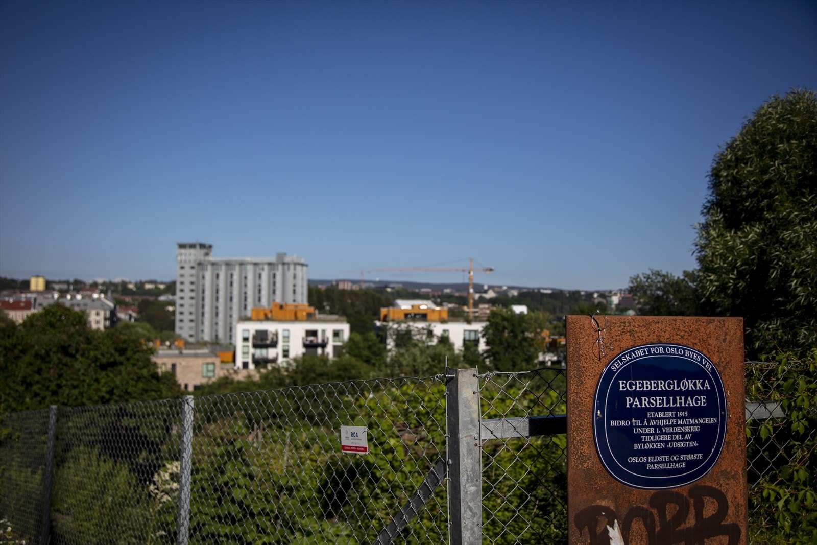Ta kjærlighetsstien opp til Telthusbakken. Galleribilde