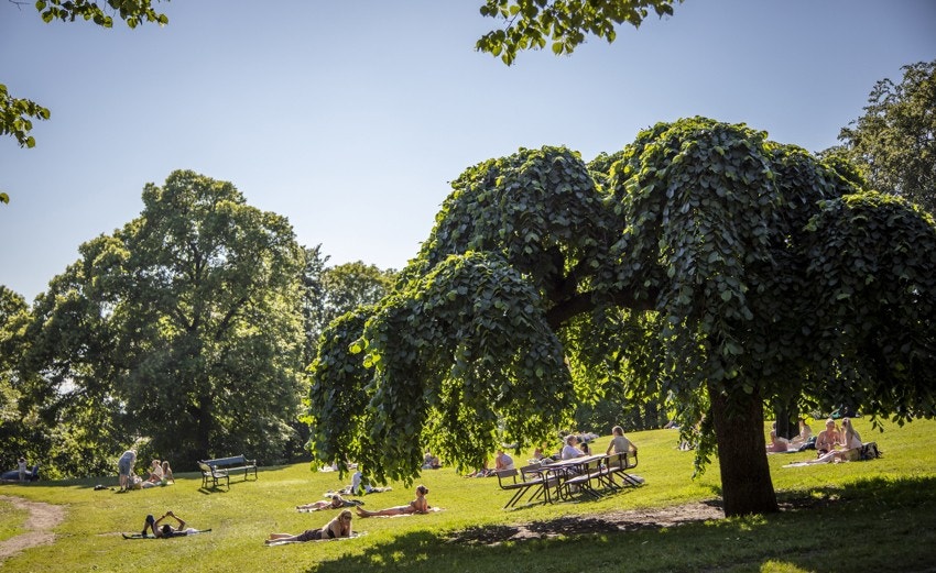 Flere av byens fineste parker i gangavstand. Galleribilde