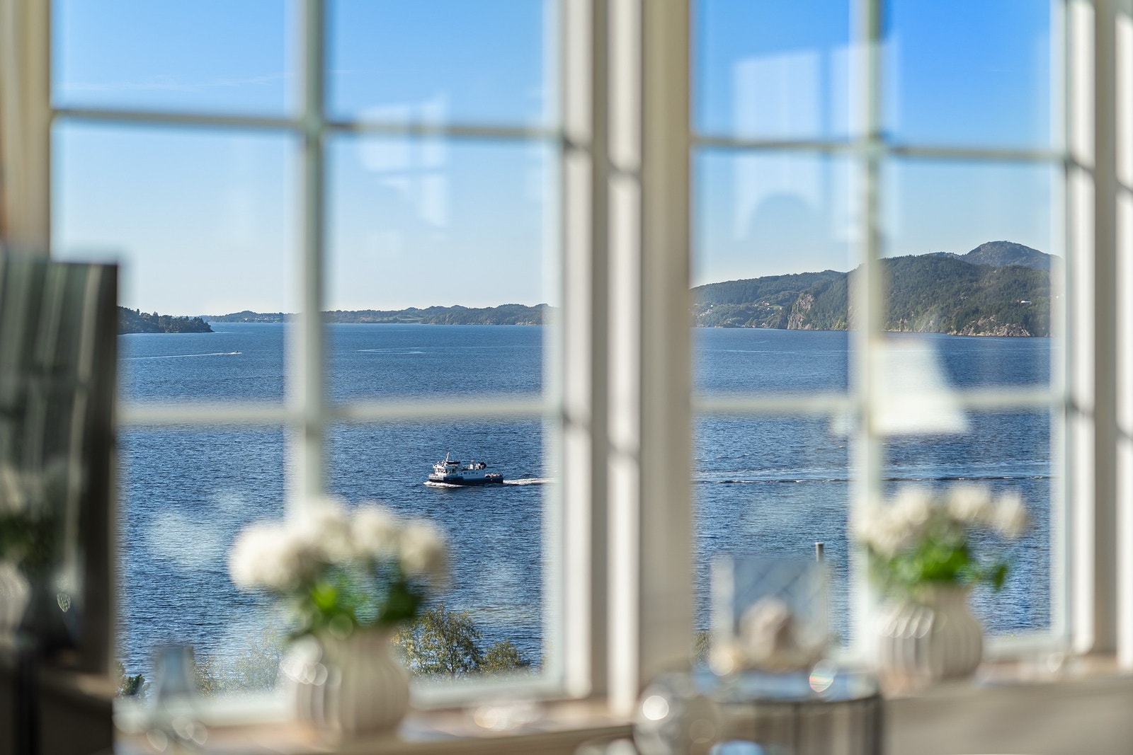 Et flott skue over alt som rører seg på Byfjorden Galleribilde