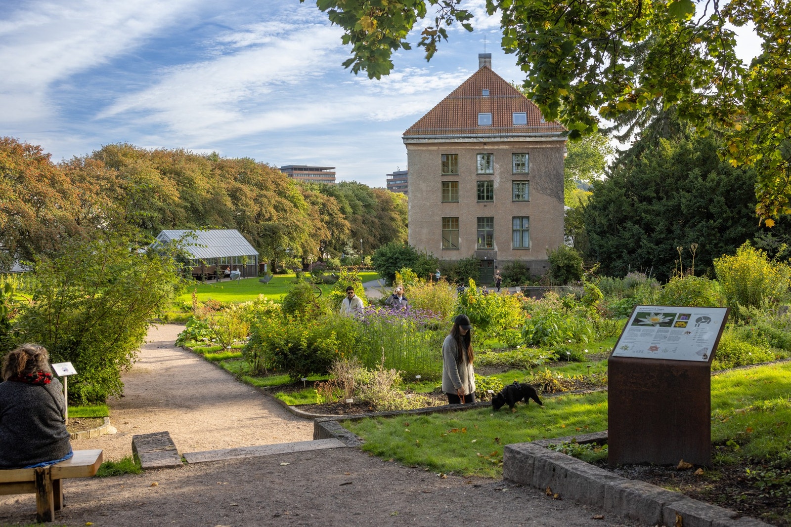 Nydelige Botanisk Hage ligger omtrent vegg i vegg med leiligheten. Galleribilde