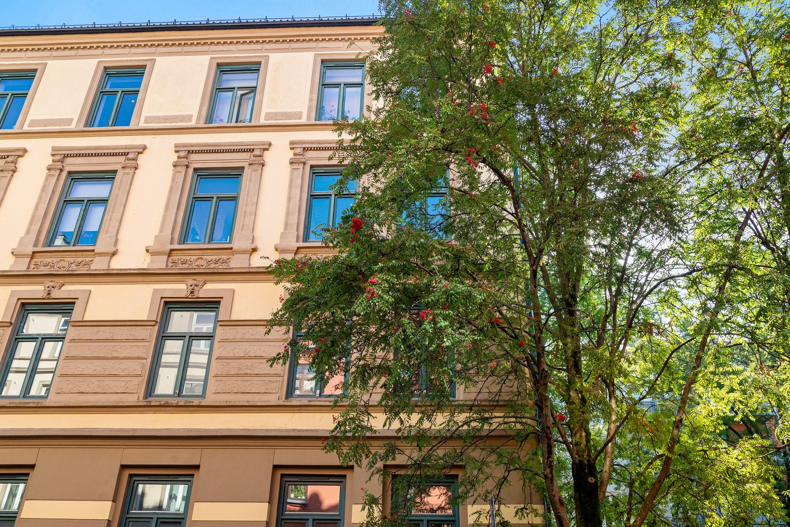 Selv om vi her befinner oss midt på urbane Tøyen med bypulsen utenfor, senker tempoet seg allerede når man inntar rolige Schübelers gate. Galleribilde