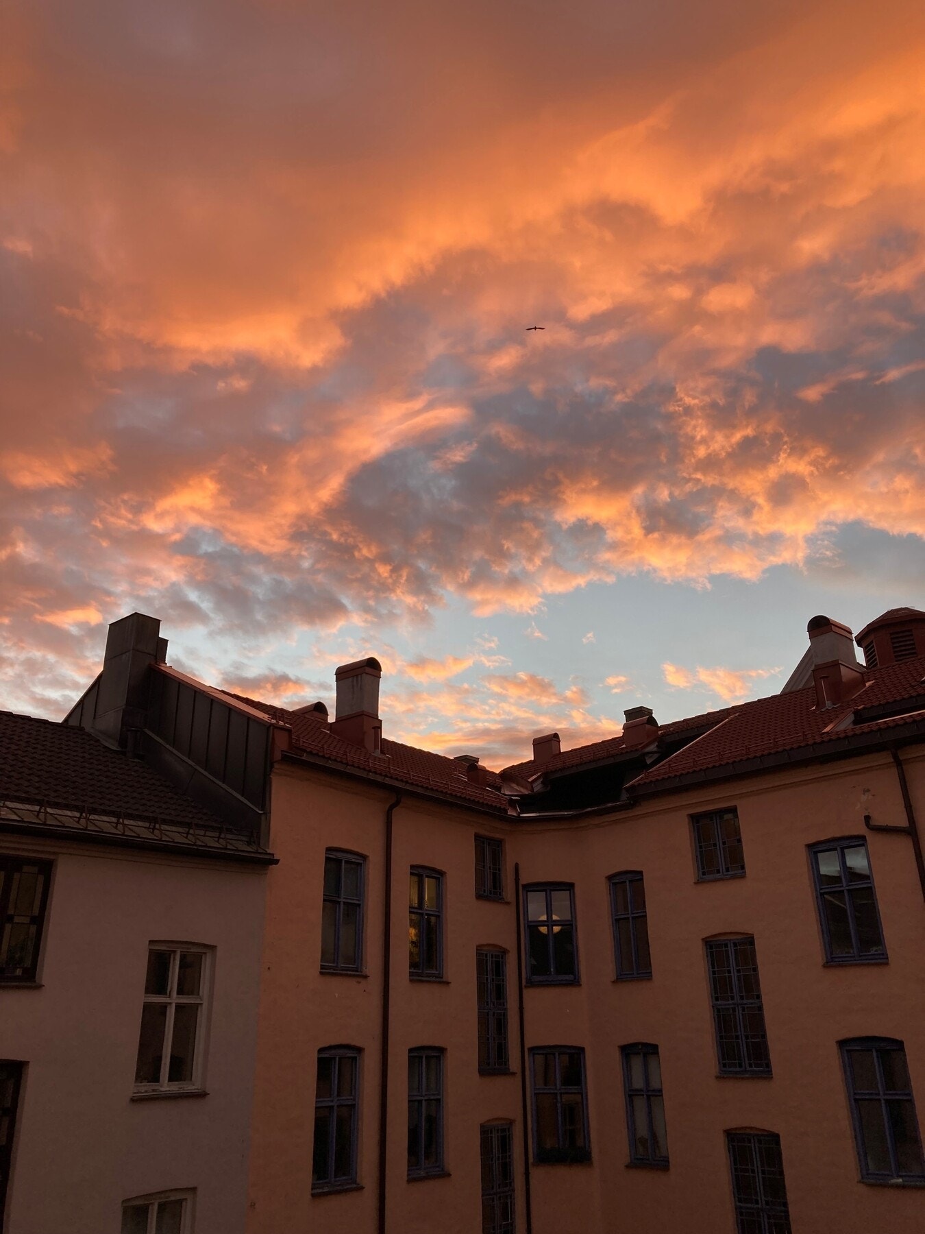 Selgers bilde. Galleribilde