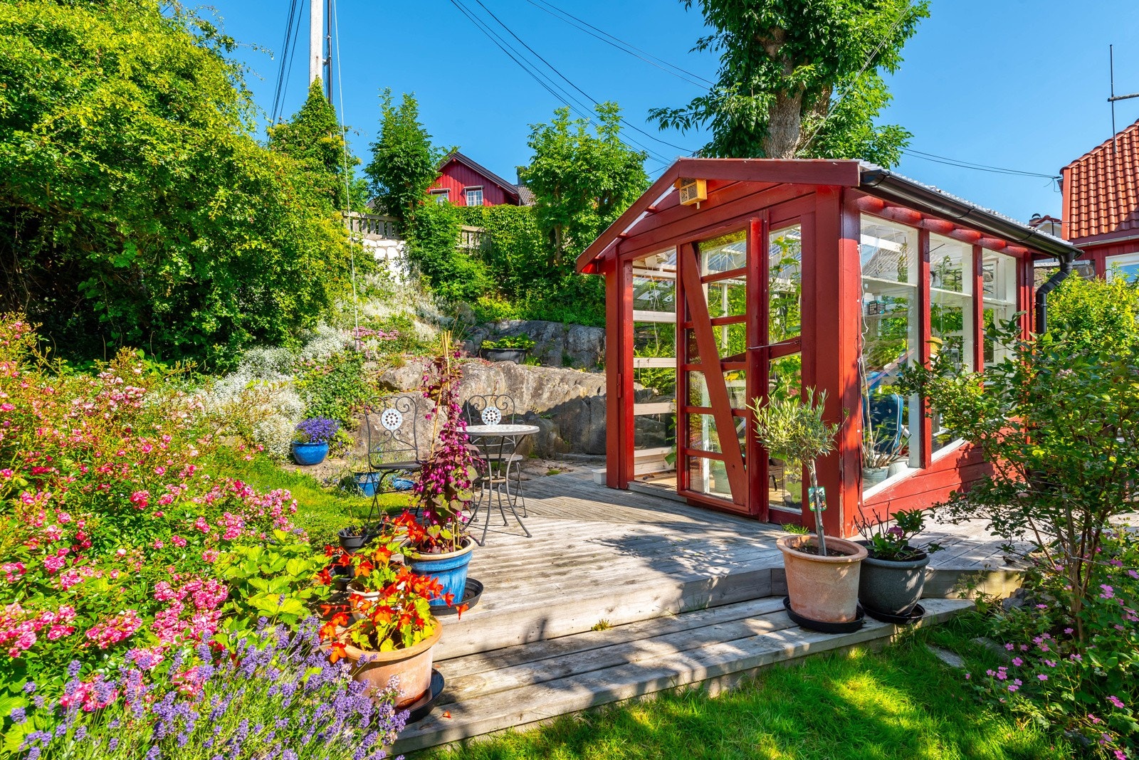 En fargerik og duftende uteplass i blomster-sesong! Galleribilde