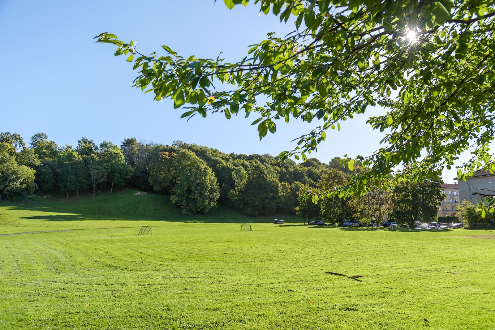 Flotte rekreasjonsområder som: Ola Narr, Torshovdalen, Torshovparken, Sofienbergparken og Botanisk Hage ligger kun en liten gåtur unna. Galleribilde