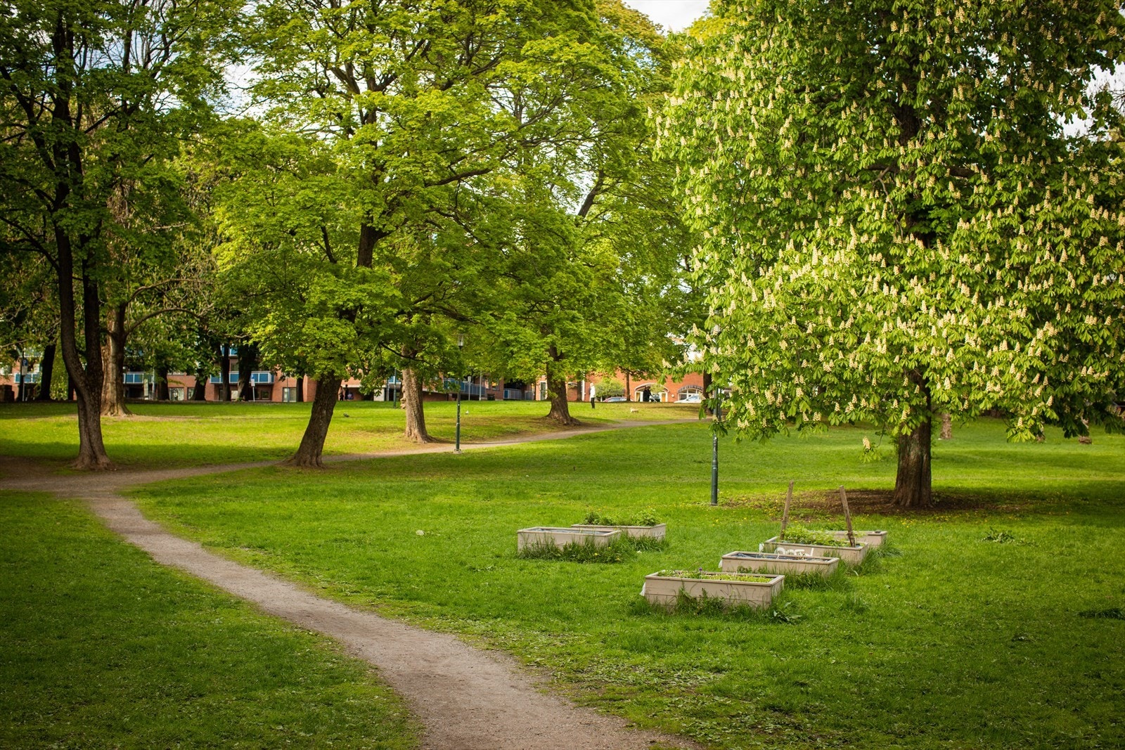 Leiligheten ligger sentralt til med kort avstand til flere parker Galleribilde
