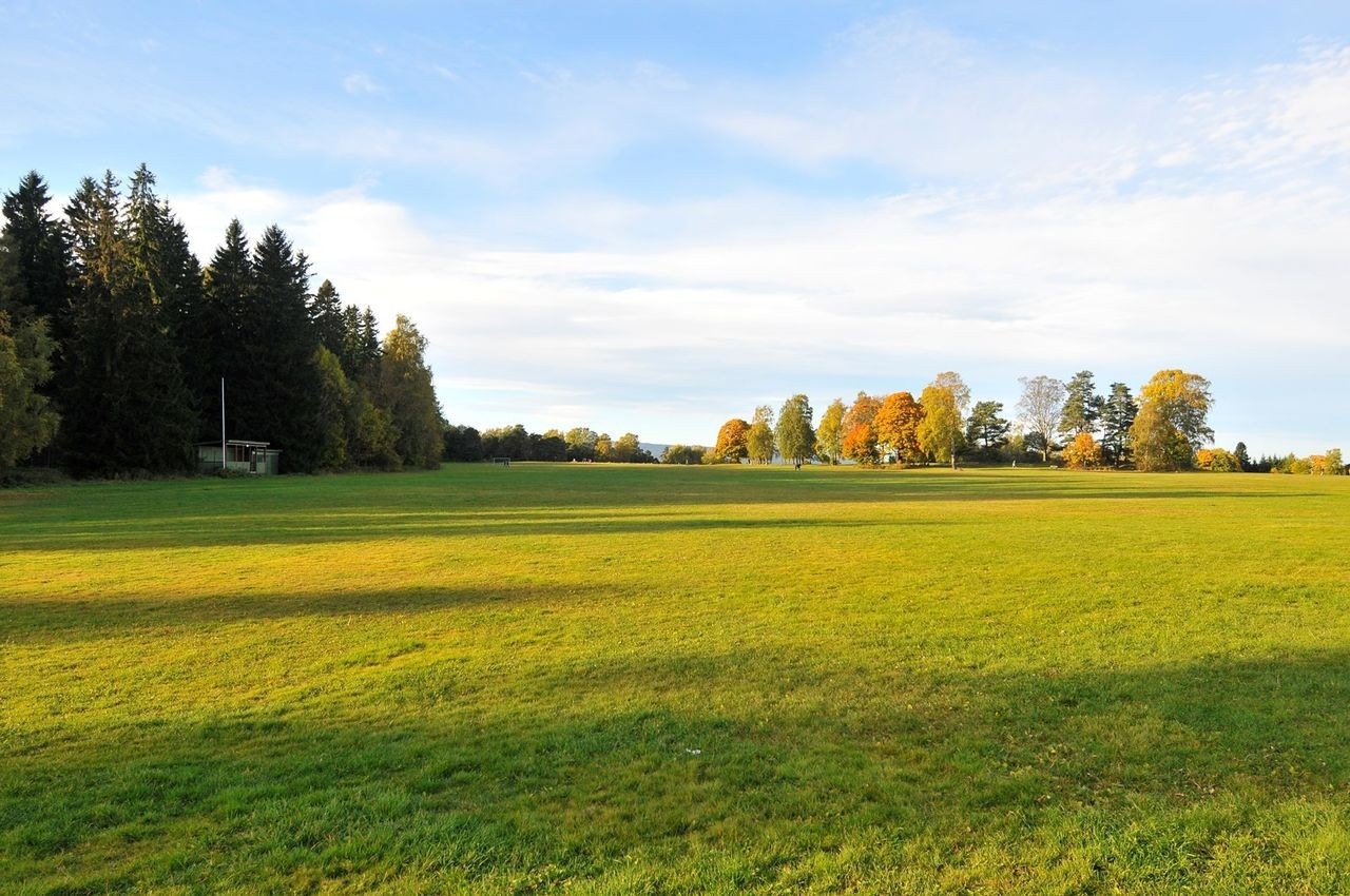 Ekebergsletta. Galleribilde