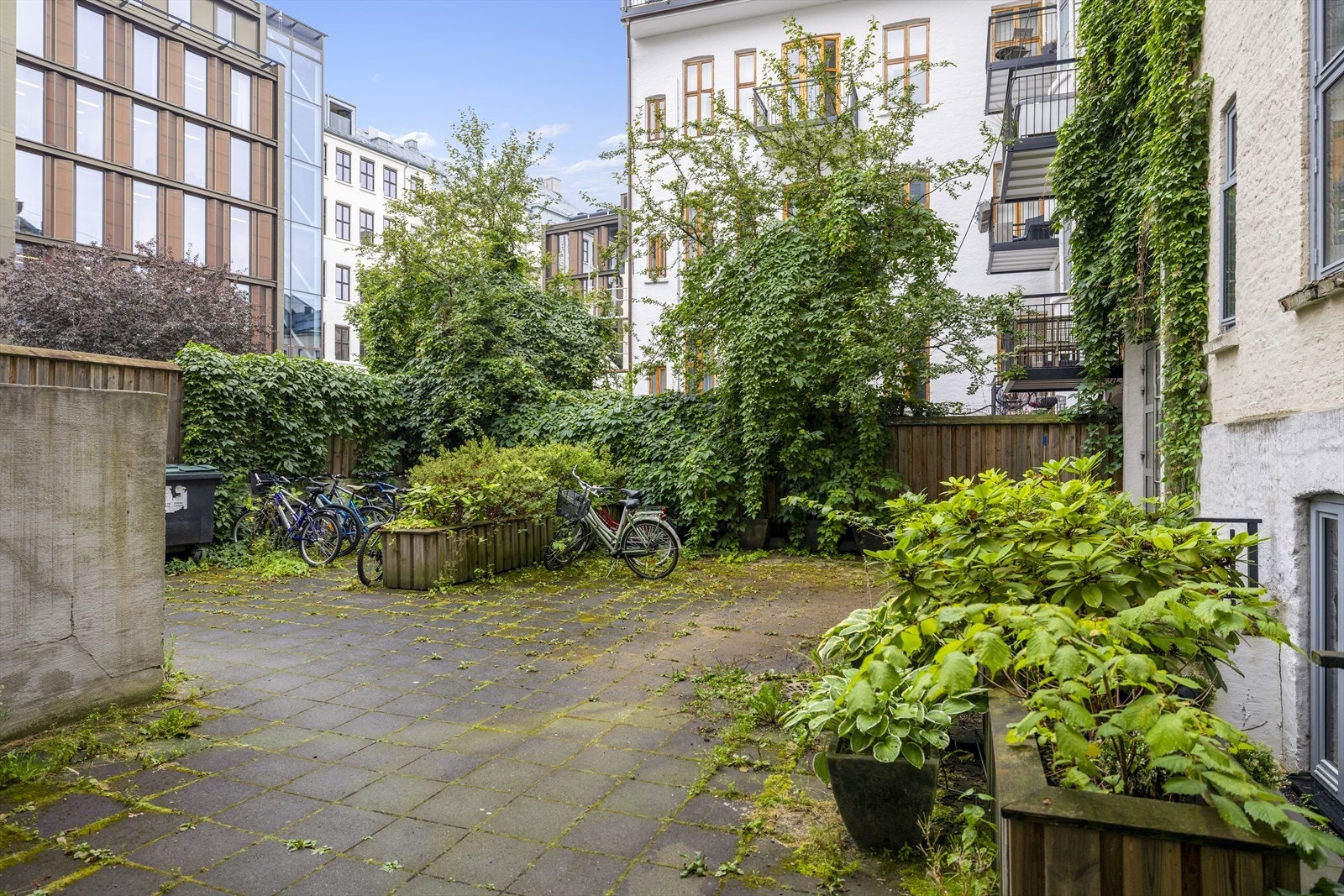 Bakgård - adkomst til leiligheten kan gjøres via bakgården. Galleribilde