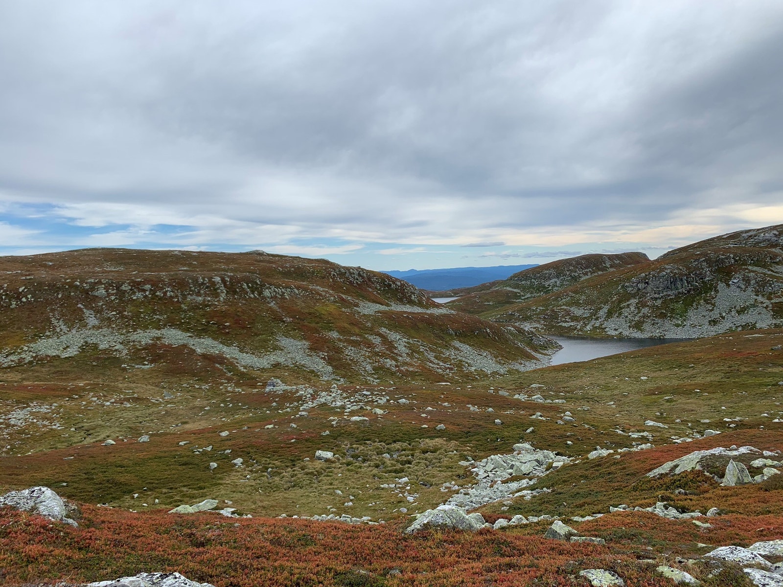 Utstikt mot Flesebekkble - Flesberg kommune sitt høyeste punkt 1271 moh Galleribilde