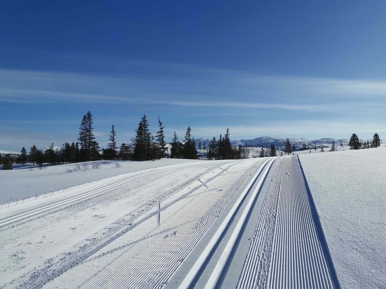 Flotte oppkjørte løyper i området Galleribilde