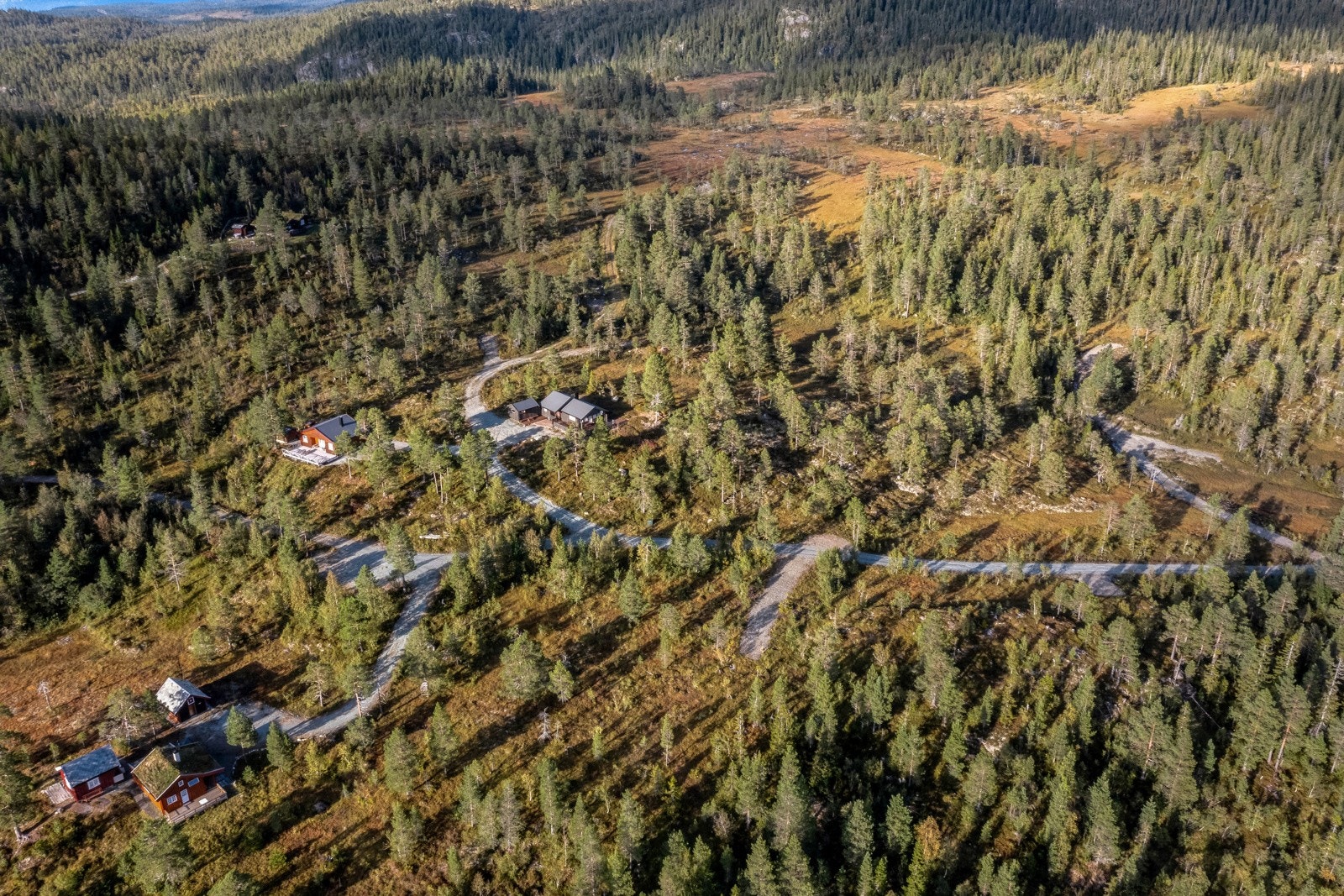 Det er planlagt at feltet skal koble seg på langrennsløyper som henger sammen med det fantastiske løypenettet på Selbuskogen skisenter. Galleribilde